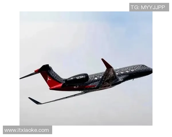 哪些足球球星拥有私人飞机揭秘豪华出行方式与背后财富故事