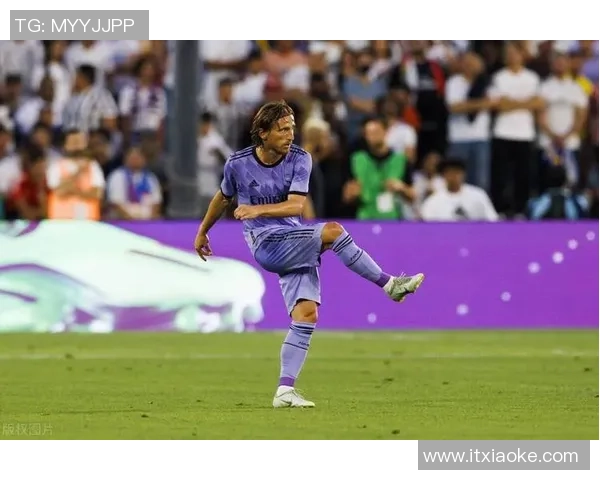 英超历史紫色球星解析其成就与独特魅力